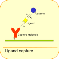 Ligand capture