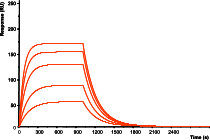One to one interaction graph