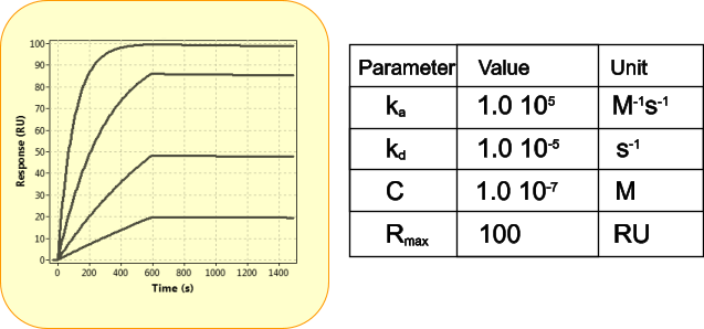 Sensorgram simulation