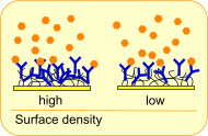 Surface density