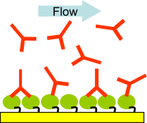 Model question 1