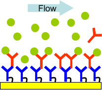 Model question 2