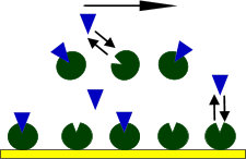 Solution affinity