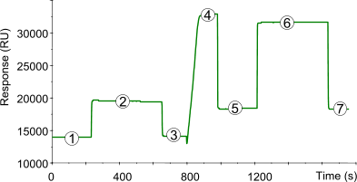 GraphAmine