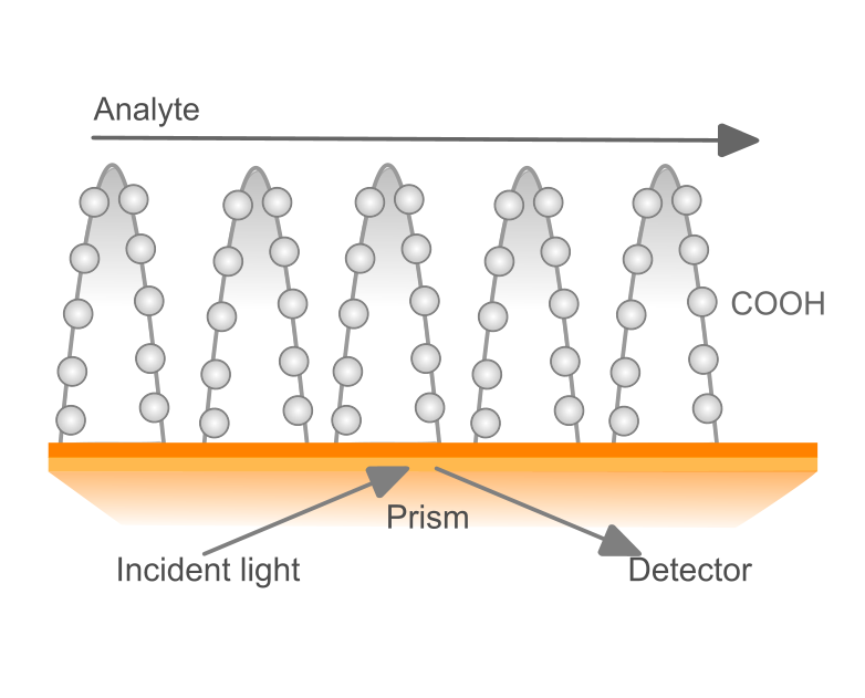 Sensor chip GLH