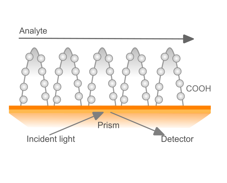 Sensor chip GLM