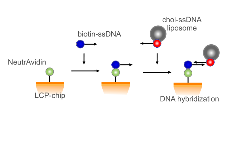 ProteOn LCP