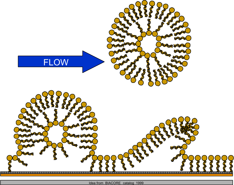 Lipid load