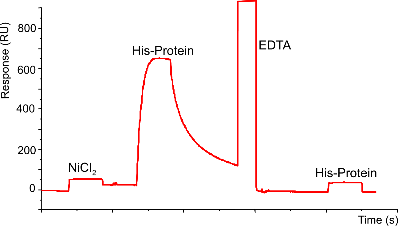 NTA Sensorgram