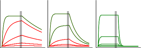 Equilibrium analysis