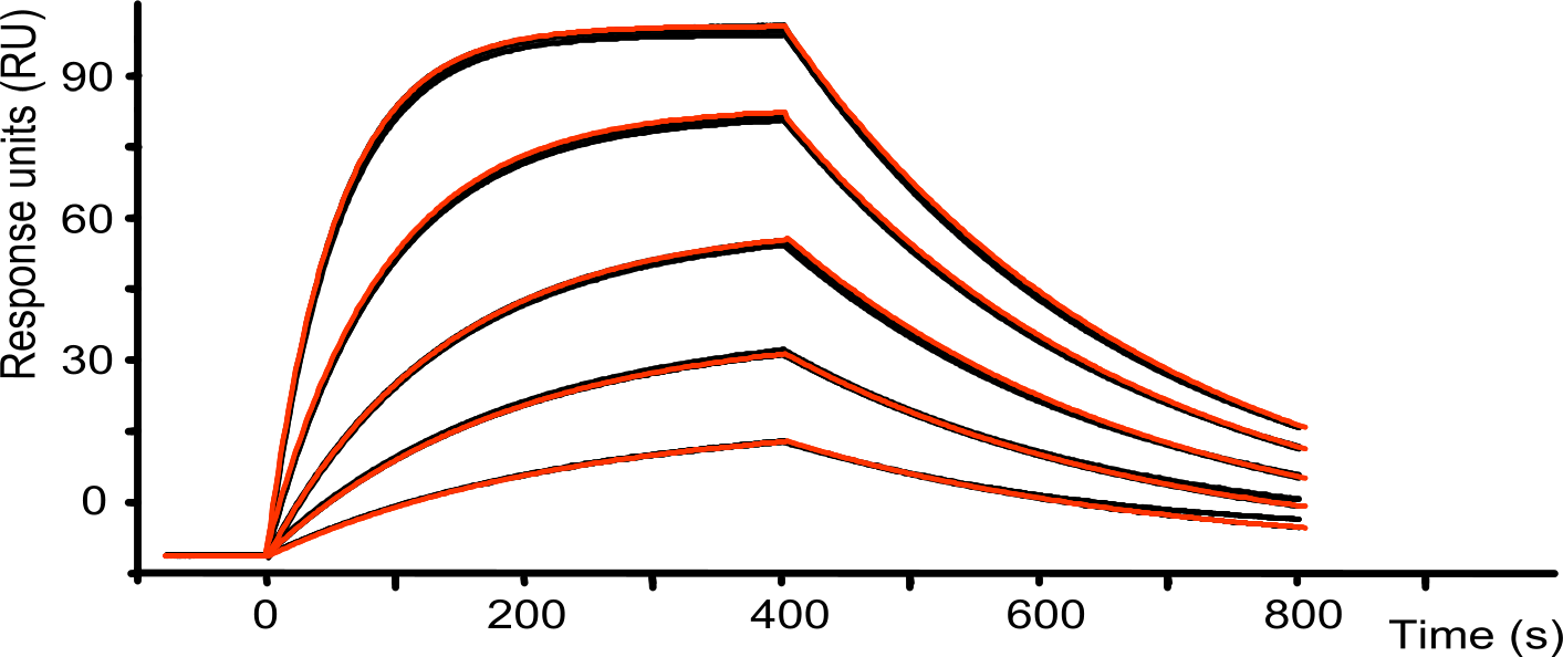 Curve Fitting