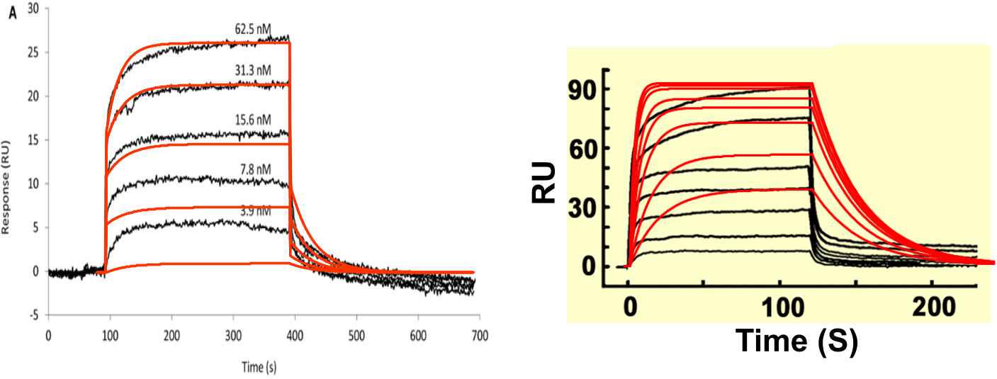 Simulated curves