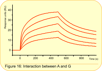 Question 16