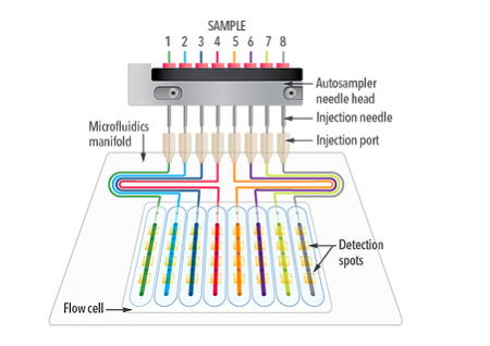 Sierra flow cells