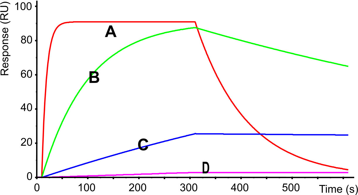 Different kinetics (same affinity)